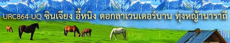 Թ§ҧ