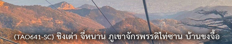 ทัวร์ชิงเต่า